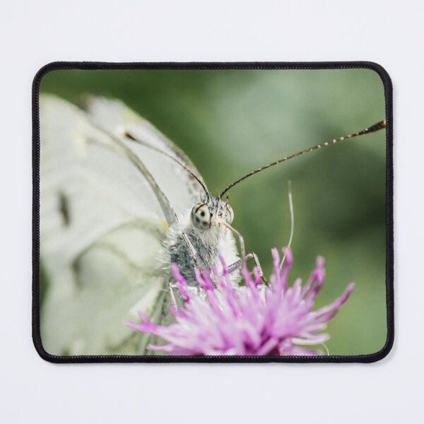 Item preview, Portrait of a large cabbage white butterfly designed and sold by BBPGallery.