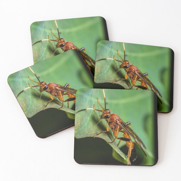 Item preview, Deadly Beauty | The ichneumon wasp designed and sold by BBPGallery.