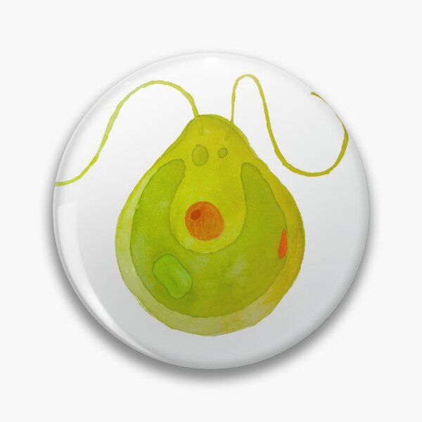 Item preview, Chlamydomonas Algae Illustration designed and sold by ModelOrganism.