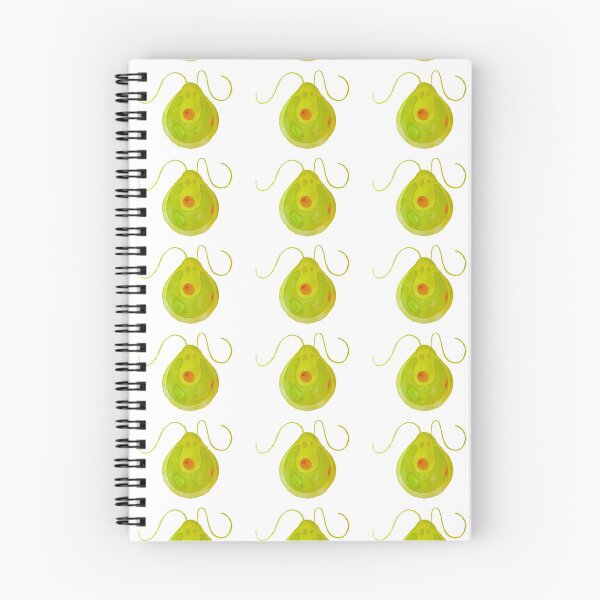Item preview, Chlamydomonas Algae Illustration designed and sold by ModelOrganism.