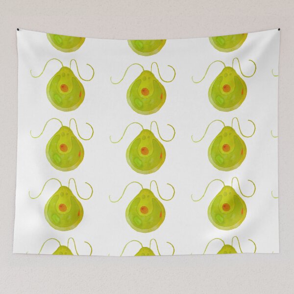 Item preview, Chlamydomonas Algae Illustration designed and sold by ModelOrganism.