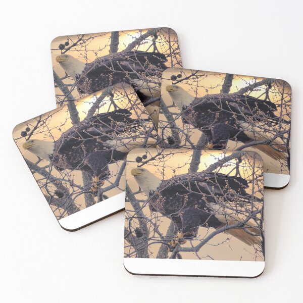 Item preview, Eagle in tree designed and sold by KDartisticeye.