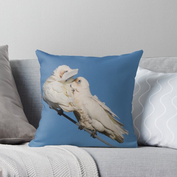 Item preview, Come On, Don't Be Shy designed and sold by byronbackyard.