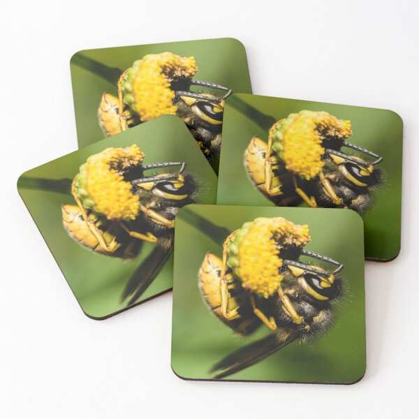 Item preview, Just hang out | The German Wasp designed and sold by BBPGallery.