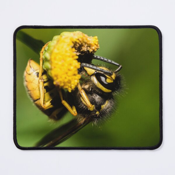 Item preview, Just hang out | The German Wasp designed and sold by BBPGallery.