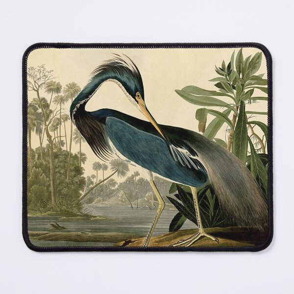 Item preview, Audubon Bird Louisiana Heron Antique Art designed and sold by antiqueart.