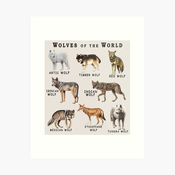 Item preview, Wolves of the World designed and sold by AzalaiBubbles.
