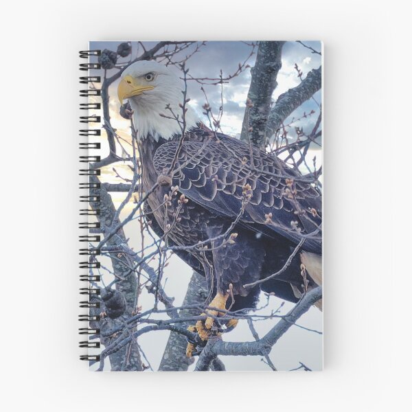 Item preview, Eagle in tree designed and sold by KDartisticeye.