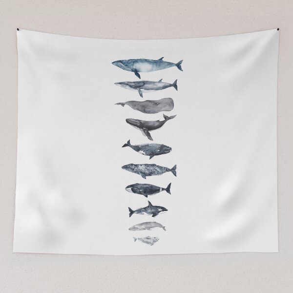 Item preview, Types Of Whales designed and sold by GlowinUp Shop.