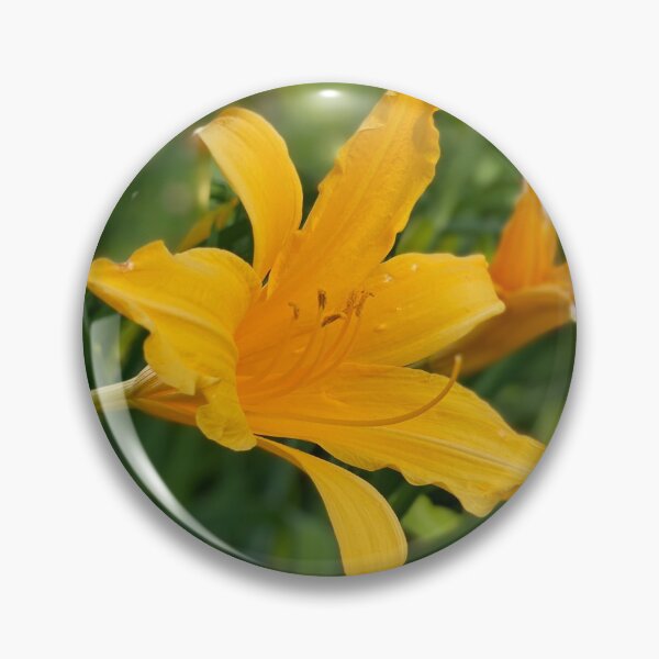 Item preview, Tiger Lily designed and sold by RugbyStickers.