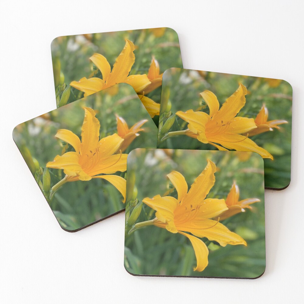 Item preview, Coasters (Set of 4) designed and sold by RugbyStickers.