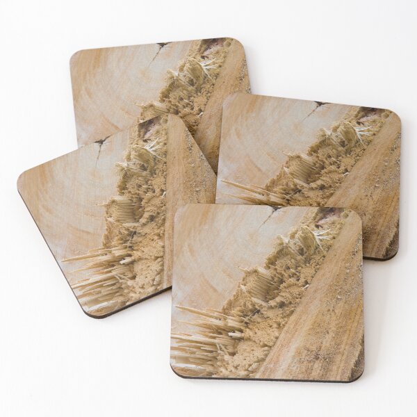 Item preview, Splintered Pine designed and sold by Bill Spengler's Photographic Thoughts.