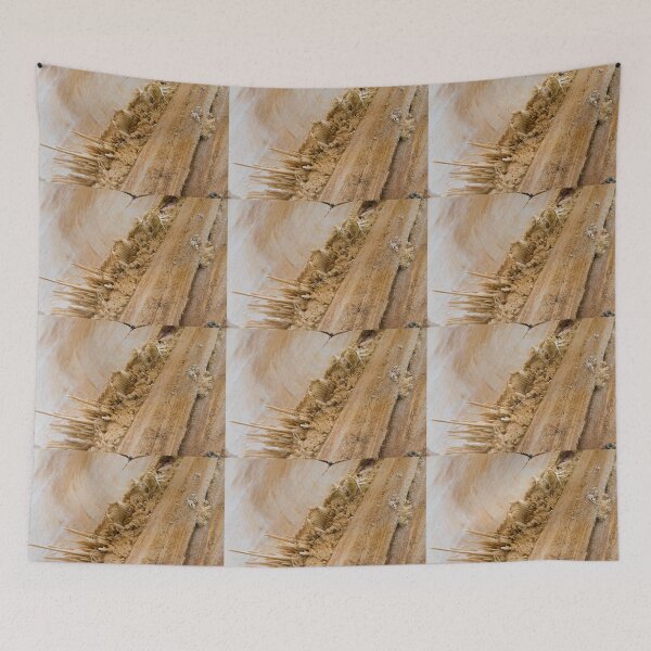 Item preview, Splintered Pine designed and sold by Bill Spengler's Photographic Thoughts.