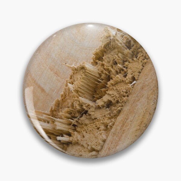 Item preview, Splintered Pine designed and sold by Bill Spengler's Photographic Thoughts.