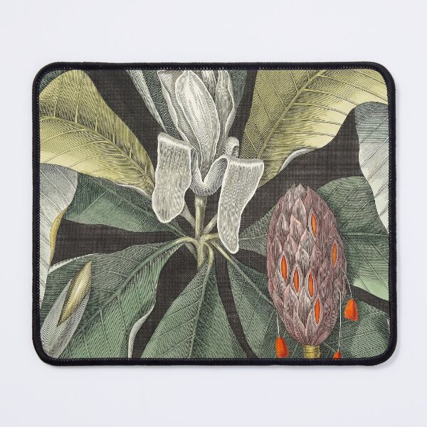 Item preview, Umbrella Tree (Magnolia) Mark Catesby designed and sold by superbling.