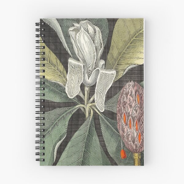 Item preview, Umbrella Tree (Magnolia) Mark Catesby designed and sold by superbling.