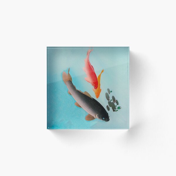 Item preview, Common and Golden Carp In a Blue Net Lake designed and sold by LamyMe.