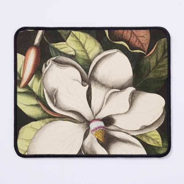 Item preview, Laurel Tree (Magnolia altissima) Mark Catesby designed and sold by superbling.