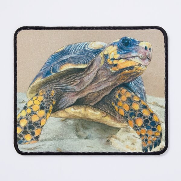 Item preview, Barbados land turtle | turtle lover designed and sold by NathBros.
