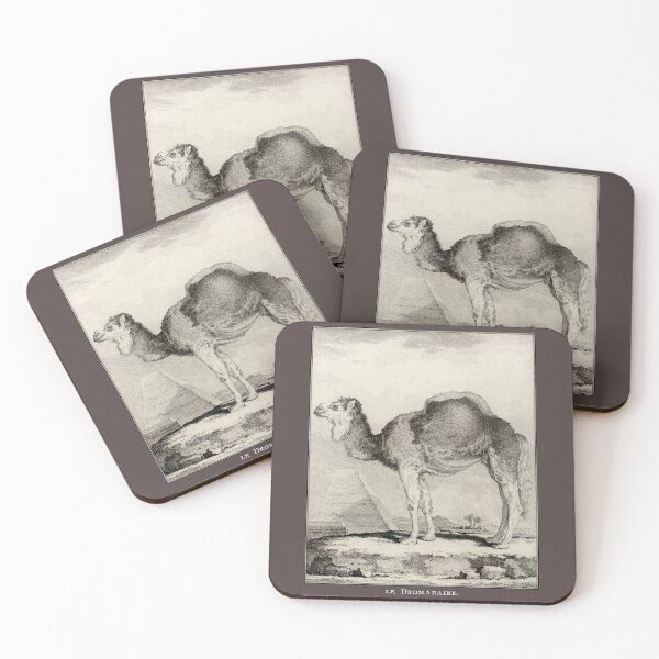 Item preview, 18th C. The Camel designed and sold by historicimage.