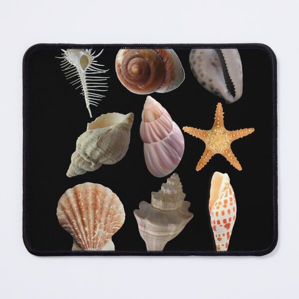 Item preview, SeaShells & Starfish In A Row Colorful Design designed and sold by EarthArtDesigns.