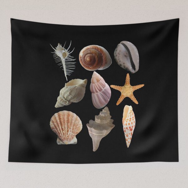 Item preview, SeaShells & Starfish In A Row Colorful Design designed and sold by EarthArtDesigns.
