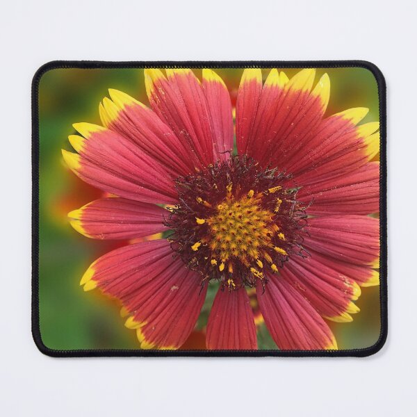 Item preview, Orange Sunburst Flower Close Up designed and sold by bloomingvine.
