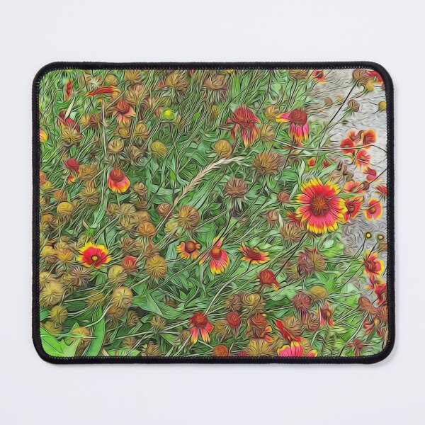 Item preview, Sunburst Gaillardia Garden designed and sold by bloomingvine.