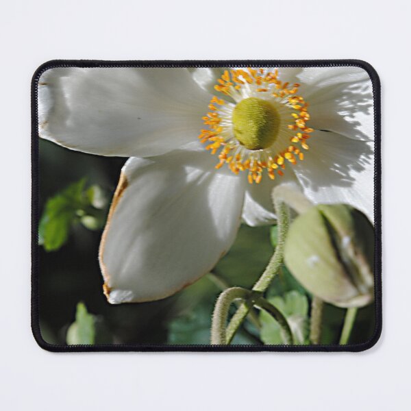 Item preview, White Flower With Buds designed and sold by bloomingvine.