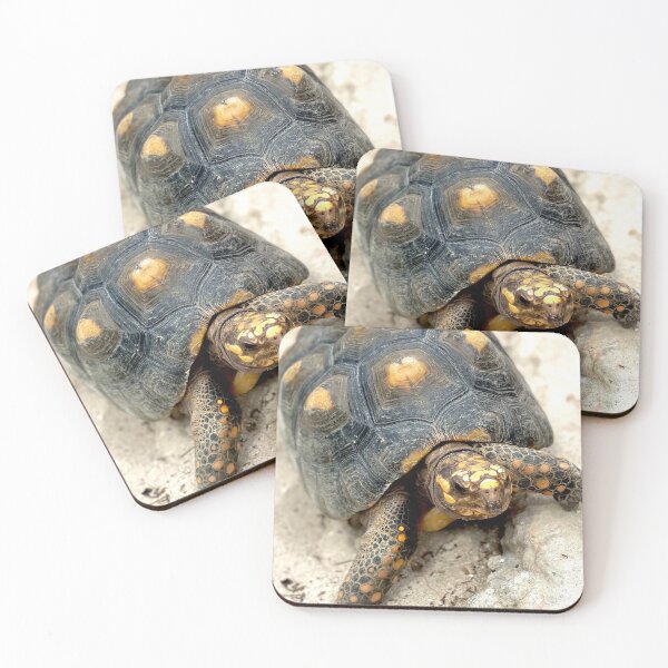 Item preview, Turtle Photograph designed and sold by jennyblairarts.