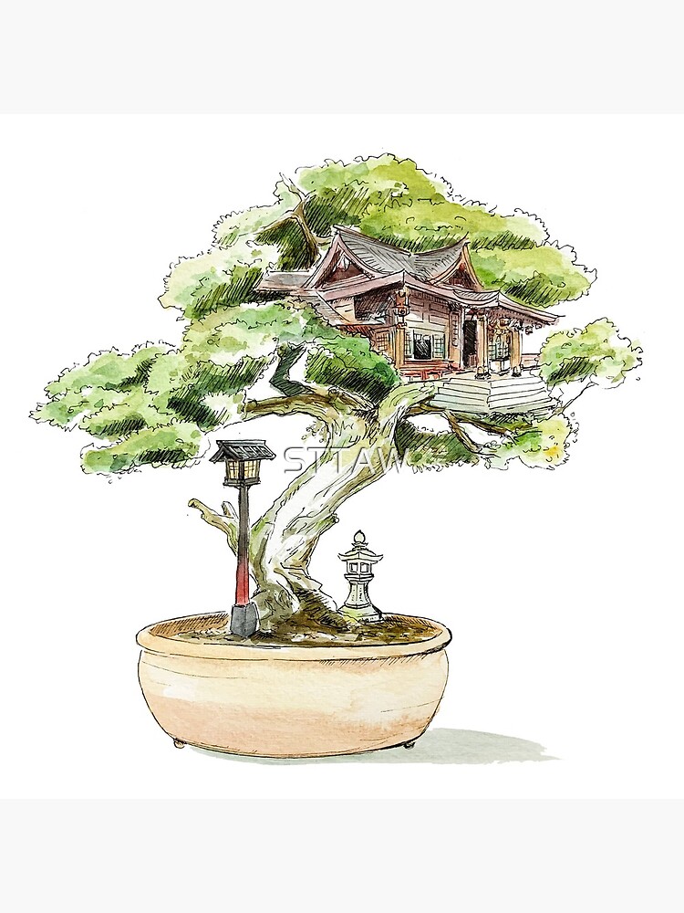 "Bonsai Tree house japan" Photographic Print for Sale by STTAW Redbubble