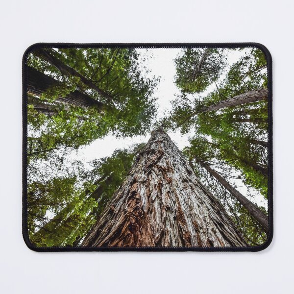 Item preview, Straight up a Redwood designed and sold by Jordan Hinsch.