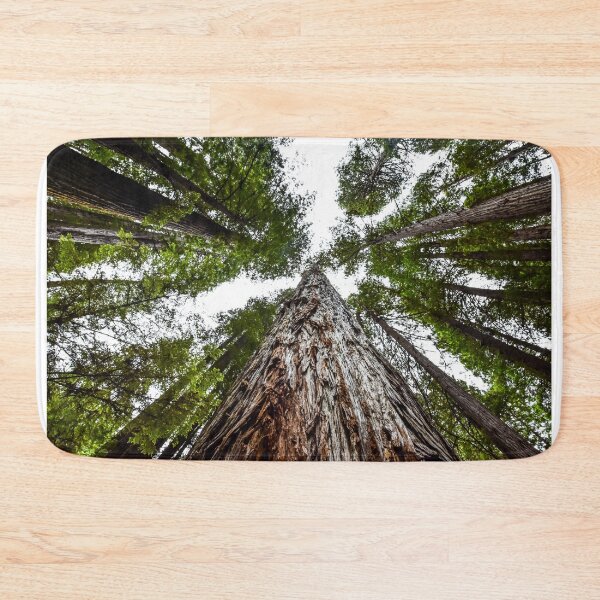 Item preview, Straight up a Redwood designed and sold by Jordan Hinsch.