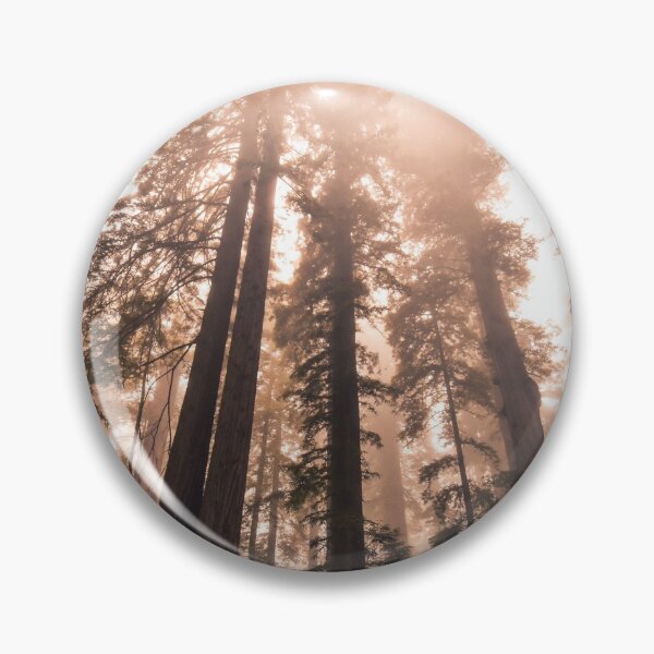 Item preview, Majestic Redwoods designed and sold by Jordan Hinsch.