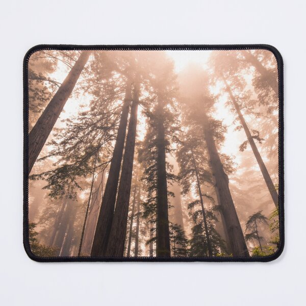 Item preview, Majestic Redwoods designed and sold by Jordan Hinsch.