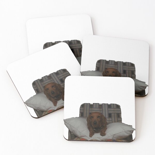 Item preview, Schatzi - Kitty Forman's dog in That 70s Show designed and sold by freakydutchkid.
