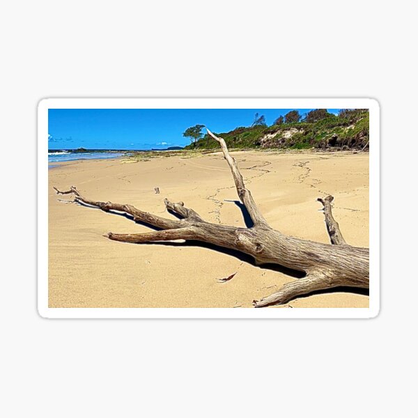 Middle Rock, Lake Cathie, NSW Australia Sticker