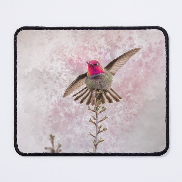 Item preview, Anna's hummingbird watercolor designed and sold by Moxiekingdom.
