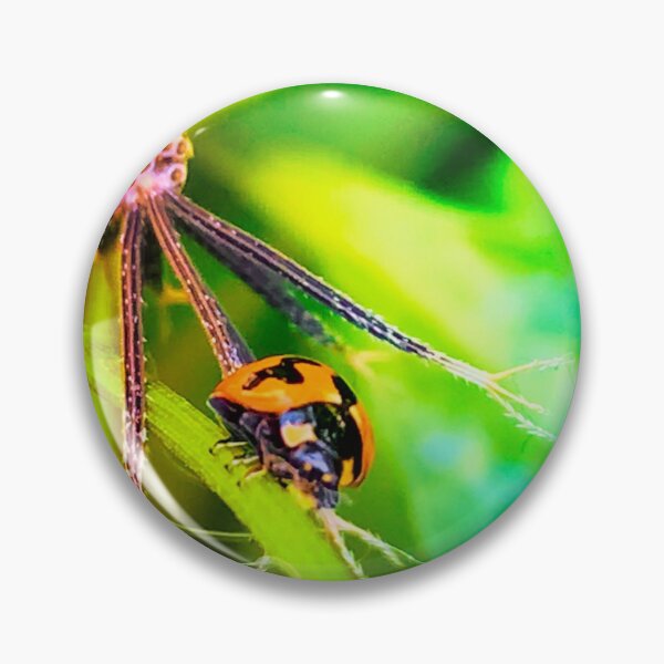 Item preview, Little Lady Beetle designed and sold by LukeRosenberg.