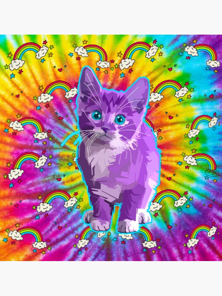 "Rainbow Kitten Surprise" Poster for Sale by StockSomewhere Redbubble