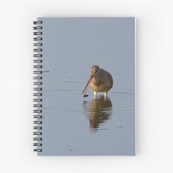 Item preview, Hudsonian Godwit designed and sold by PaulKPhoto.