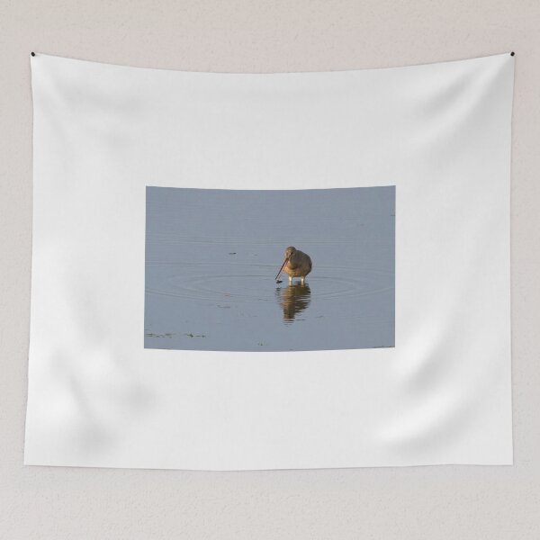 Item preview, Hudsonian Godwit designed and sold by PaulKPhoto.