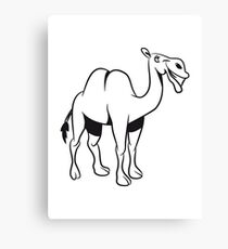 Camel funny cool funny Canvas Print