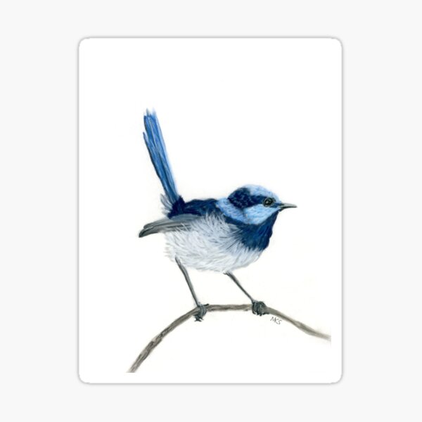 Item preview, Frankie Fairy wren designed and sold by Art-by-Meredith.