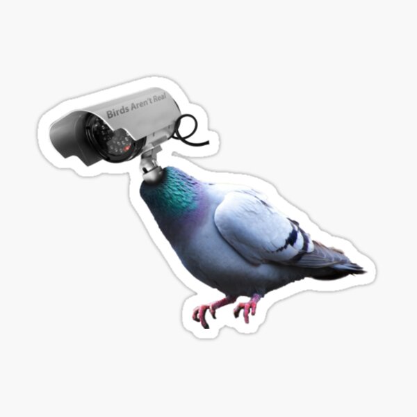 Item preview, Birds Arent Real designed and sold by YoungSweeney.