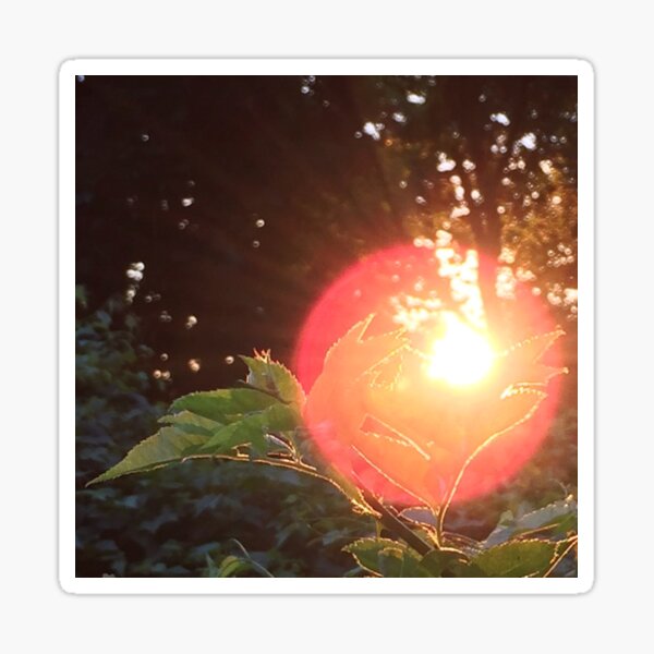 Illuminated Sticker