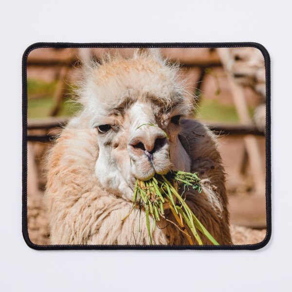 Item preview, Caught designed and sold by ehlphotography.