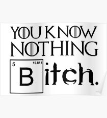 You Know Nothing Bitch Poster