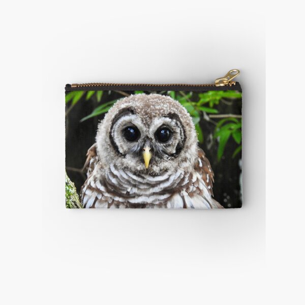 Item preview, Owl designed and sold by SwampQueen.