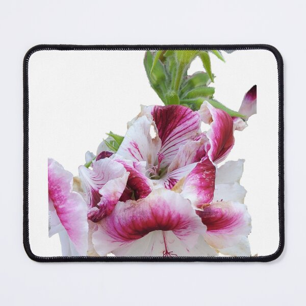 Item preview, Flowers in the garden designed and sold by Notfamousyet.